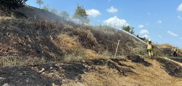 Otlukta çıkan yangın ormana sıçradı