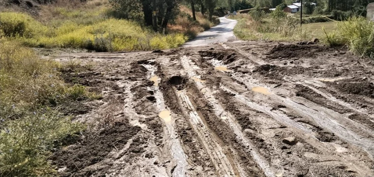 Sağanak Hasar Verdi