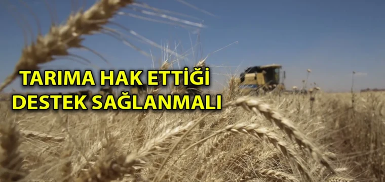 Tarıma hak ettiği destek sağlanmalı