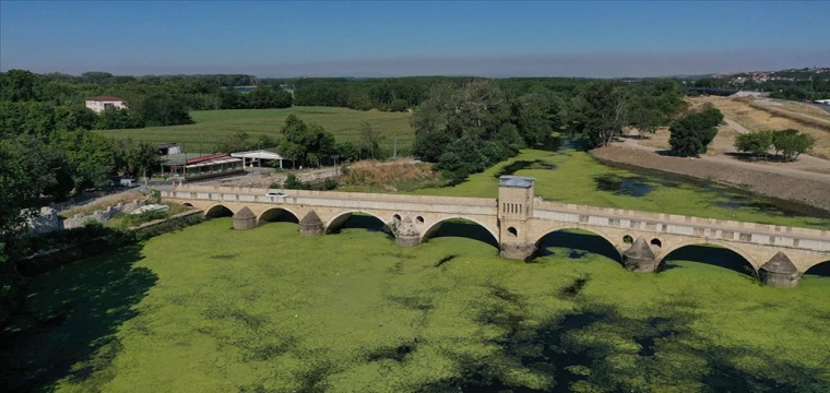 Tunca Nehri yeşile büründü