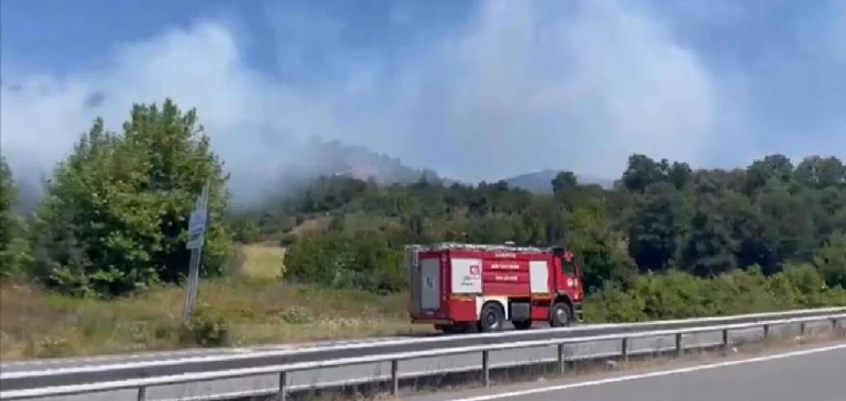 Yangında ormanlık alan zarar gördü