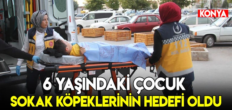 6 yaşındaki çocuk sokak köpeklerinin hedefi oldu