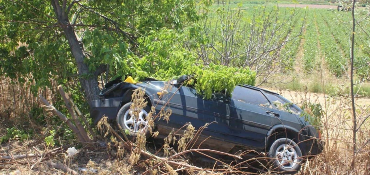 Ağaca çarpan otomobilin sürücüsü hayatını kaybetti