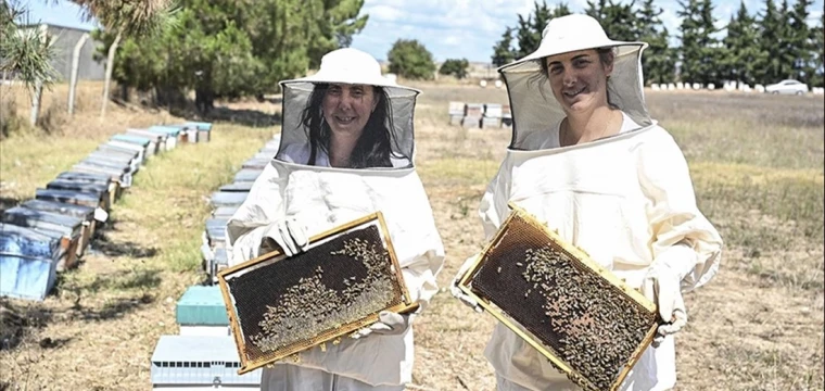 Arıcılar hasada başladı