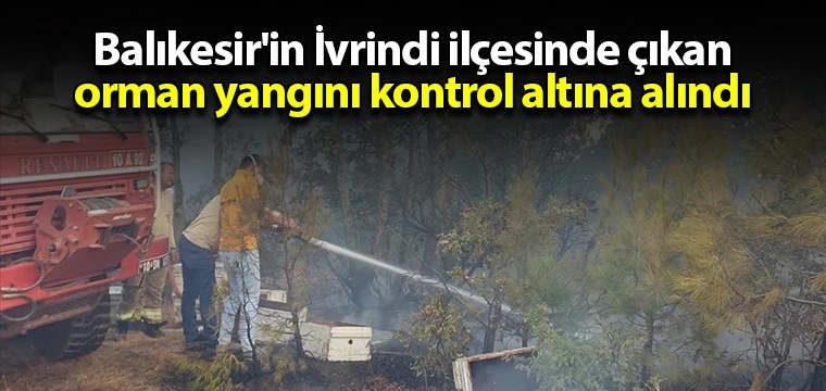 Balıkesir'in İvrindi ilçesinde çıkan orman yangını kontrol altına alındı