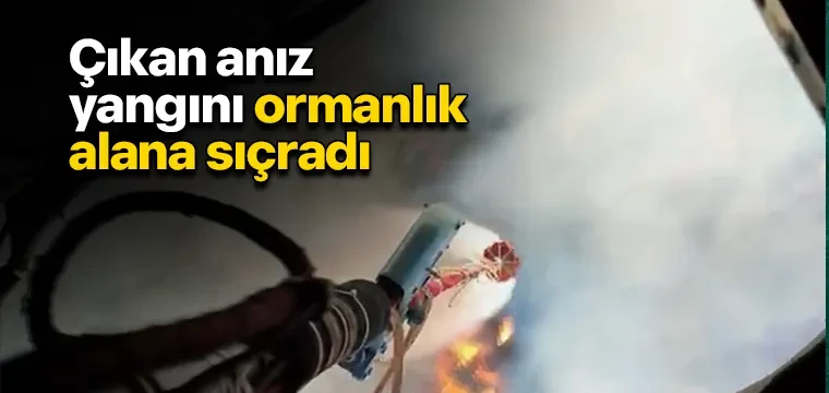 Çıkan anız yangını ormanlık alana sıçradı