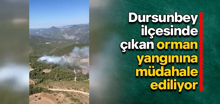 Dursunbey ilçesinde çıkan orman yangınına müdahale ediliyor