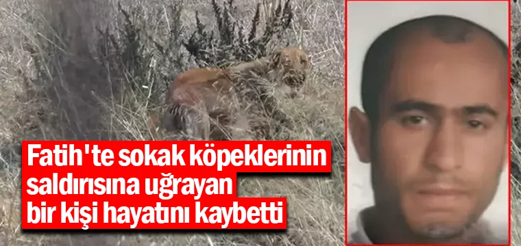 Fatih'te sokak köpeklerinin saldırısına uğrayan bir kişi hayatını kaybetti