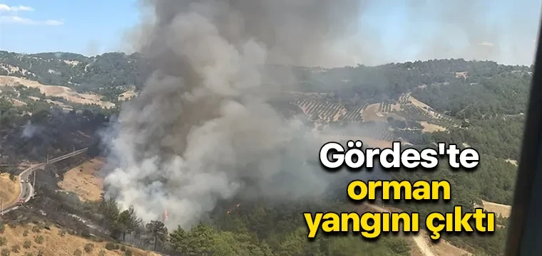 Gördes'te orman yangını çıktı