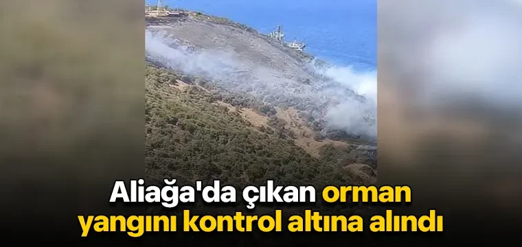 İzmir Aliağa'da çıkan orman yangını kontrol altına alındı