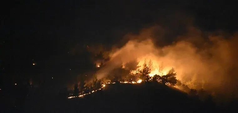 İzmir Kemalpaşa'da yangın kontrol altında