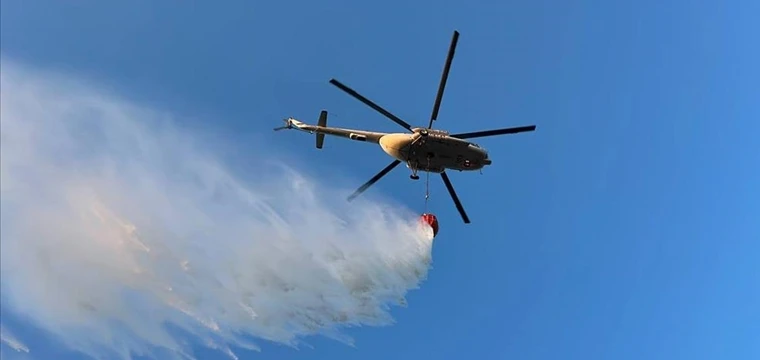 Kocaeli'deki orman yangını söndürüldü