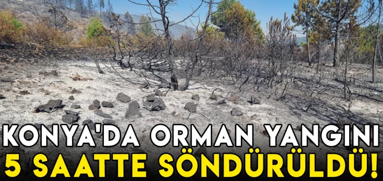 Konya'da orman yangını 5 saatte söndürüldü!