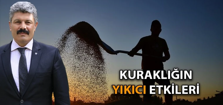 Kuraklığın yıkıcı etkileri