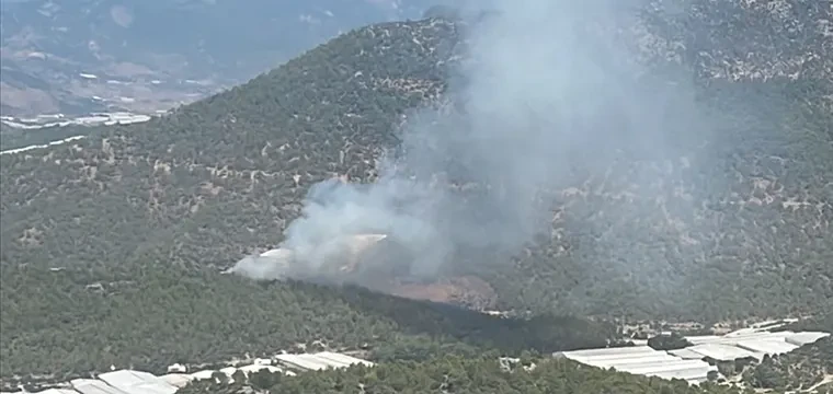 Mersin'de çıkan orman yangını kontrol altına alındı