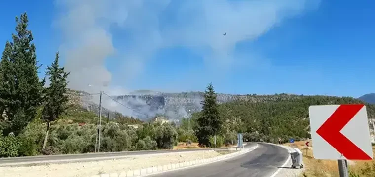 Mersin'de orman yangını