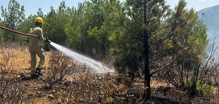 Orman yangını çıkaran tutuklu 2 zanlı birbirini suçladı