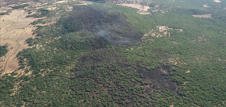 Orman yangınları artarken alan azalıyor