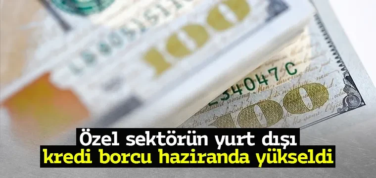 Özel sektörün yurt dışı kredi borcu haziranda yükseldi