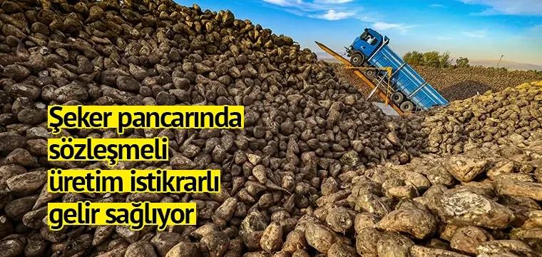 Şeker pancarında sözleşmeli üretim istikrarlı gelir sağlıyor