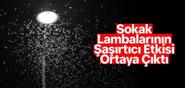 Sokak Lambalarının Şaşırtıcı Etkisi Ortaya Çıktı