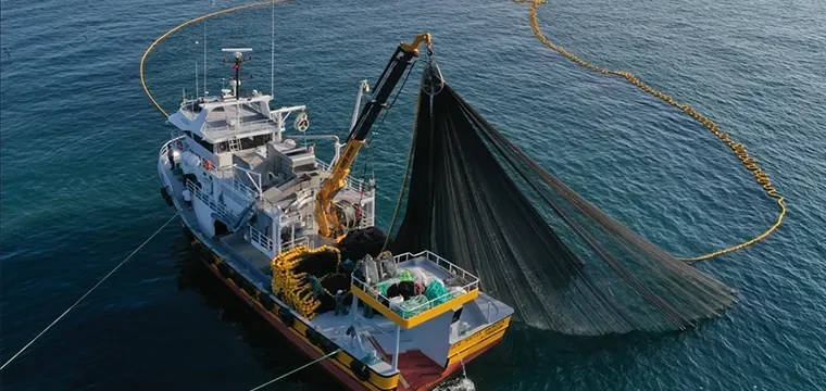 Su ürünleri av sezonu İstanbul'da açılacak