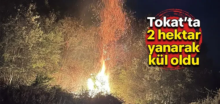 Tokat’ta 2 hektar yanarak kül oldu