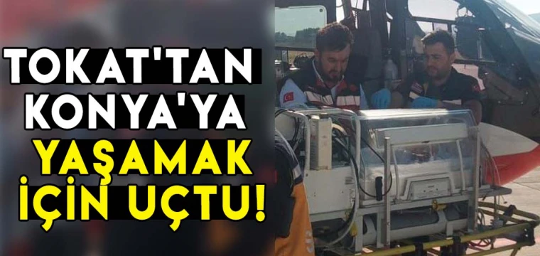 Tokat'tan Konya'ya yaşamak için uçtu!