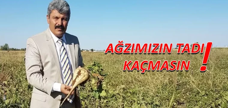 Ağzımızın tadı kaçmasın