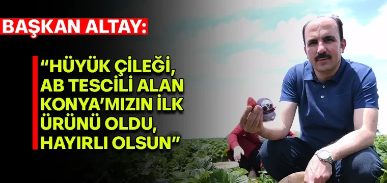 Altay: Hüyük çileği AB tescili aldı