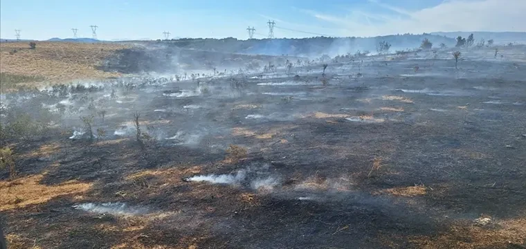 Bingöl'de orman yangını söndürüldü