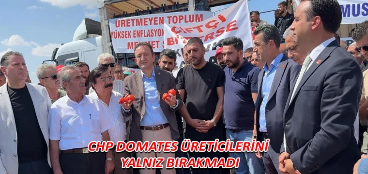 CHP domates üreticilerini yalnız bırakmadı