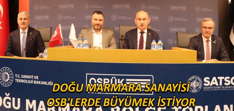 Doğu Marmara sanayisi, OSB'lerde büyümek istiyor