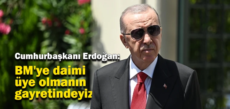 Erdoğan: BM'ye daimi üye olmanın gayretindeyiz