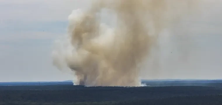 Harz Dağları'nda orman yangını