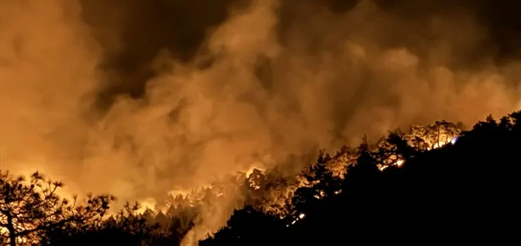 Hatay'da ormanlık alandaki yangına müdahale ediliyor