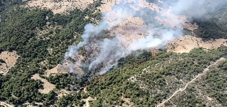 Kaş'ta orman yangını