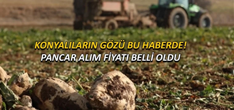 Konyalıların gözü bu haberde! Pancar alım fiyatı belli oldu