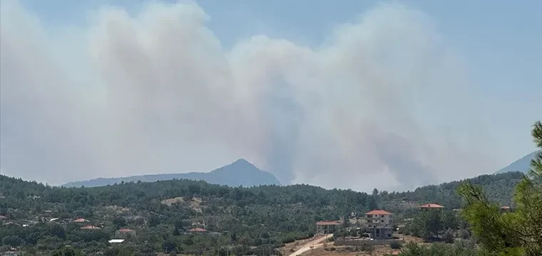 Muğla'daki orman yangınına müdahale ediliyor