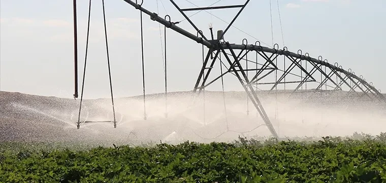 Şanlıurfa'da GAP'la topraklar bereketleniyor