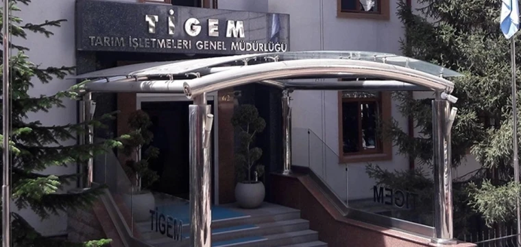 TİGEM, 20 bin ton koyun sütü satacak