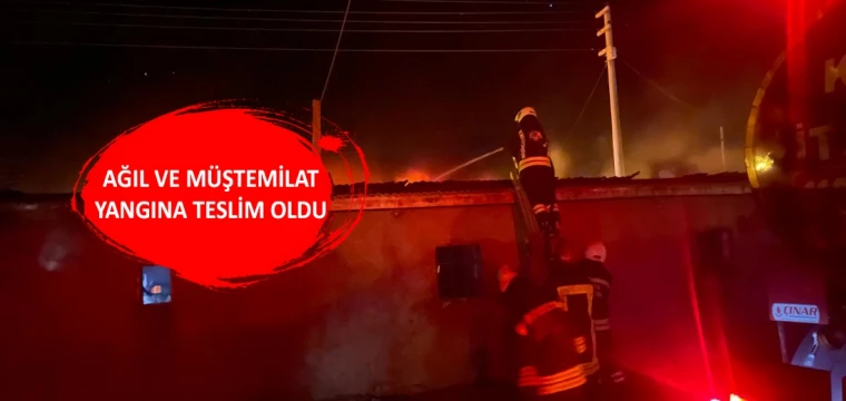 Ağıl ve müştemilat yangına teslim oldu