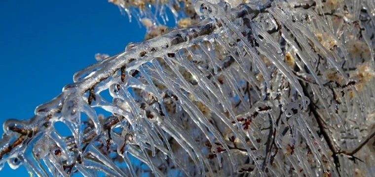 Meteorolojiden zirai don uyarısı