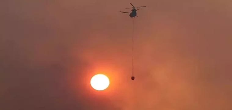 Orman yangını altıncı gününde kontrol altına alındı