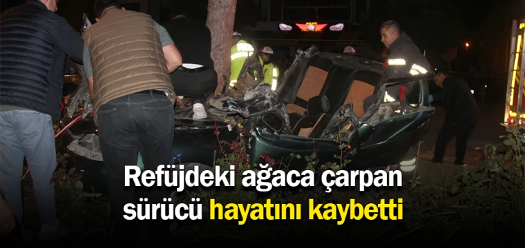 Refüjdeki ağaca çarpan sürücü hayatını kaybetti