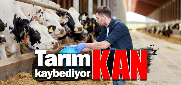 Tarım kan kaybediyor