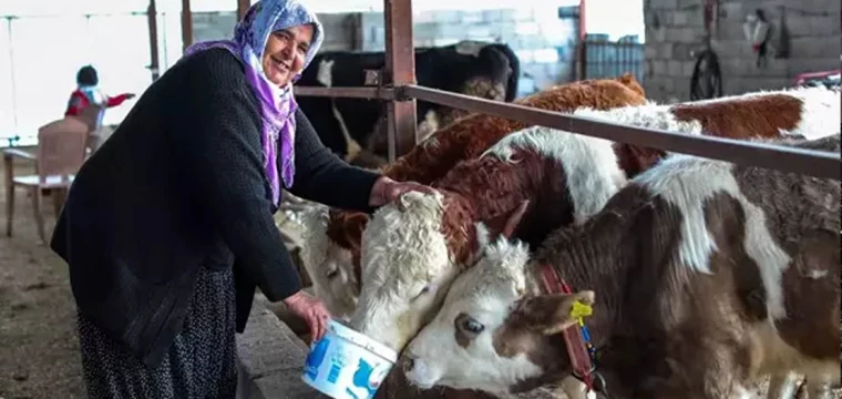 Türk Kızılayı'ndan depremzede ailelere destek