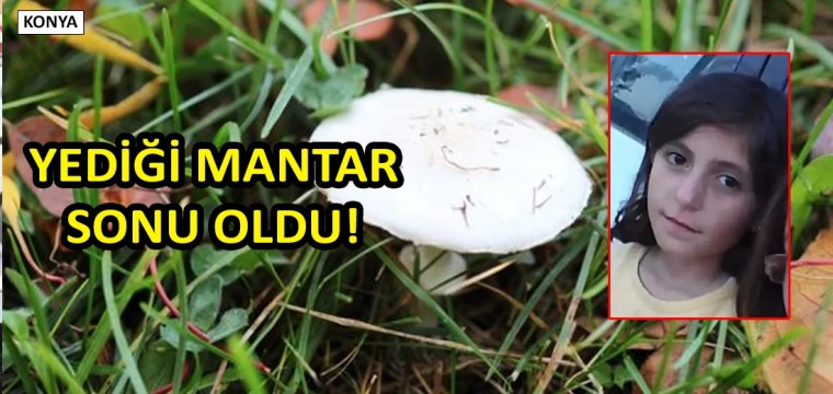 Yediği mantar sonu oldu!