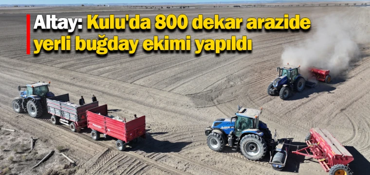 Altay: Kulu'da 800 dekar arazide yerli buğday ekimi yapıldı