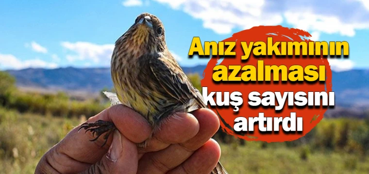 Anız yakımının azalması kuş sayısını artırdı